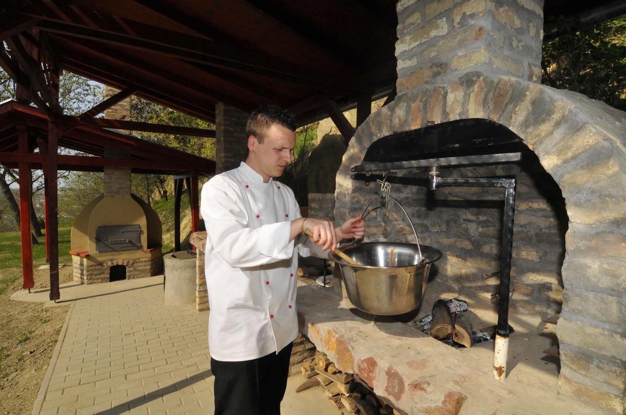 Fried Kastely Hotel Simontornya Exterior photo